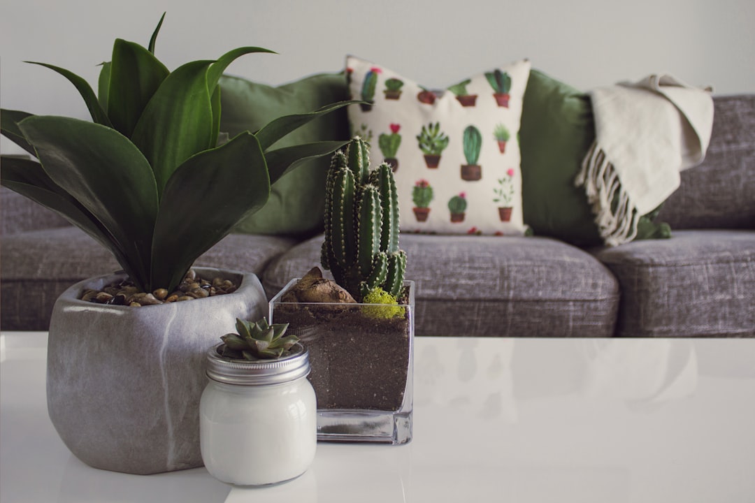 Vazen: meer dan een pot voor bloemen