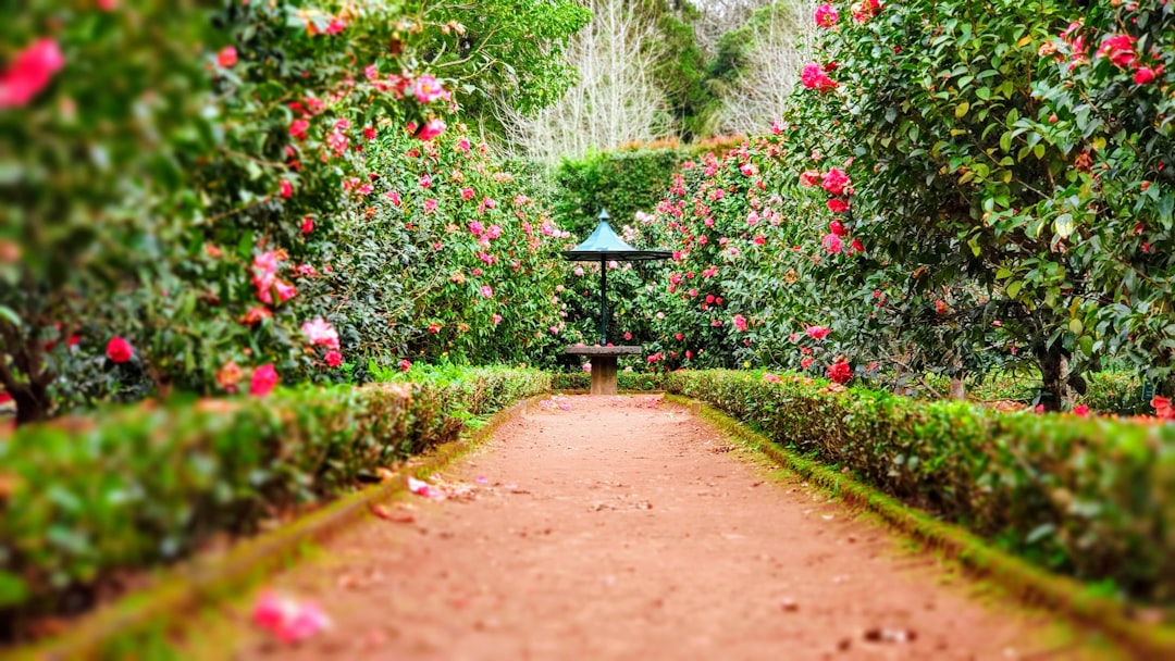Luxe tuinmeubels kopen: waar let je op en wat zijn de beste keuzes?