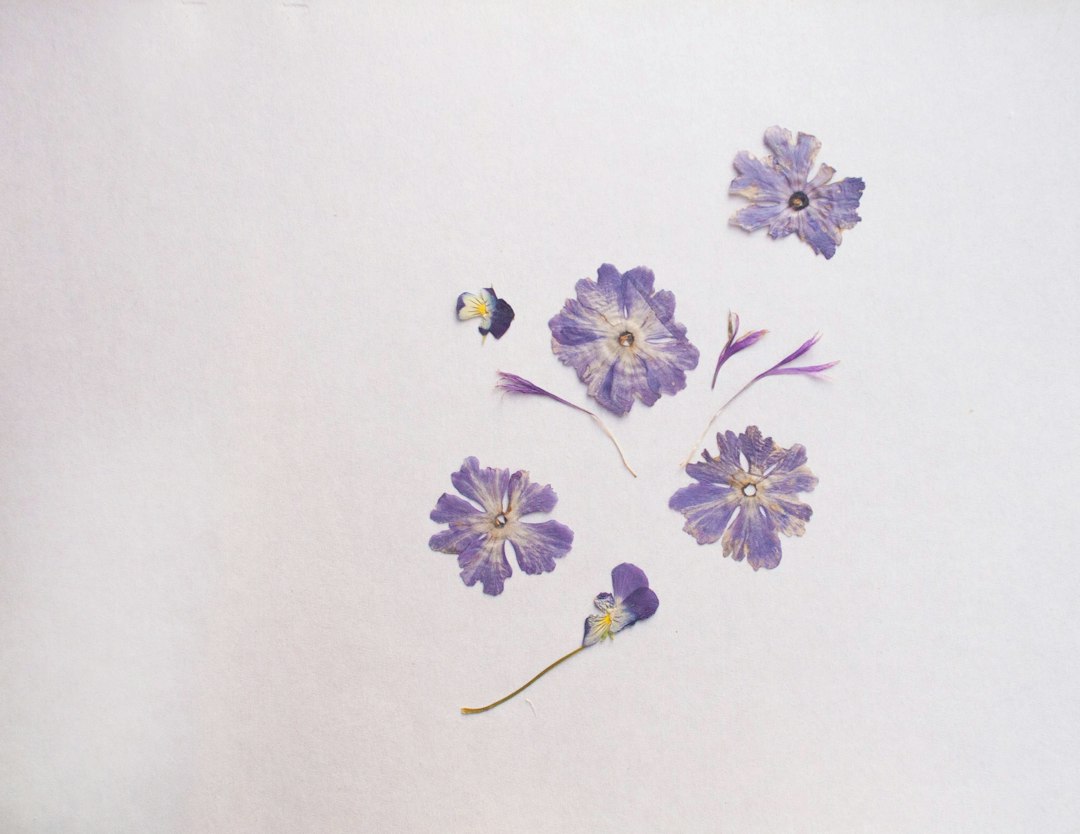 Kleine droogbloemen: wat zijn ze, waarvoor gebruik je ze en waar let je op?