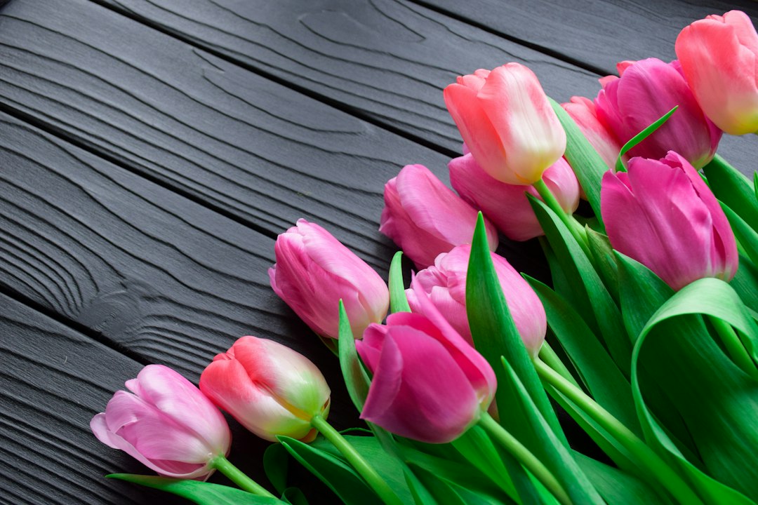 Tulpen verzorgen: zo houd je ze langer mooi