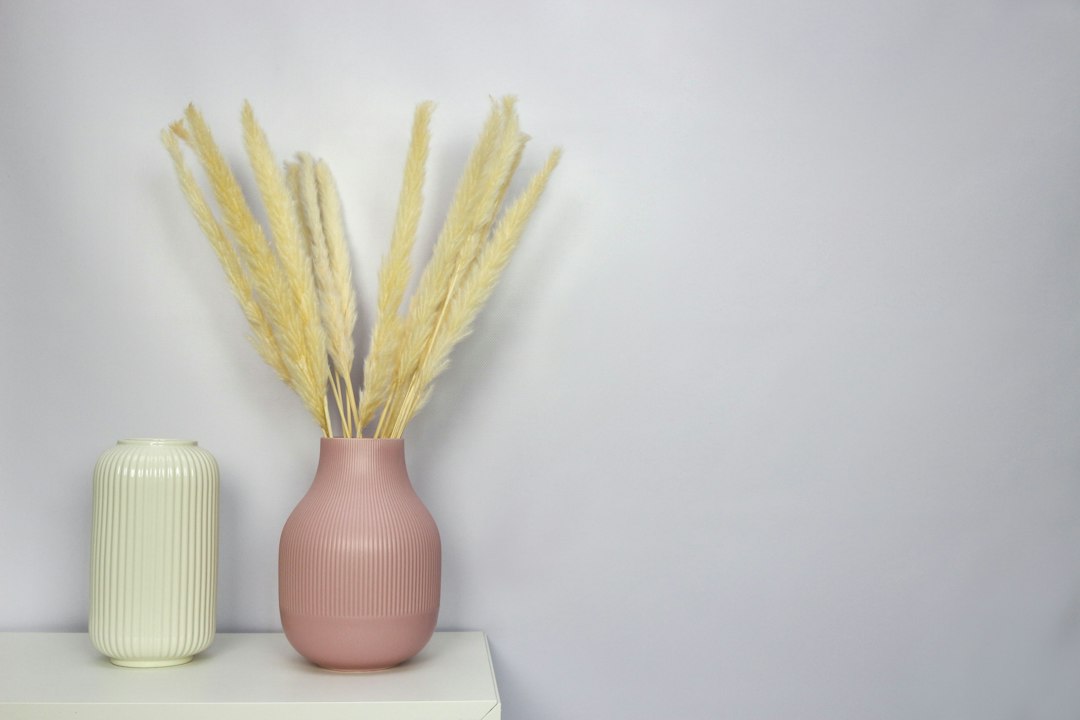 Roze pampasgras: dit maakt het anders dan de witte variant