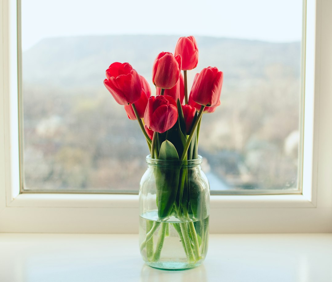 Tulpen in een glazen vaas: zo haal je het meeste uit je boeket