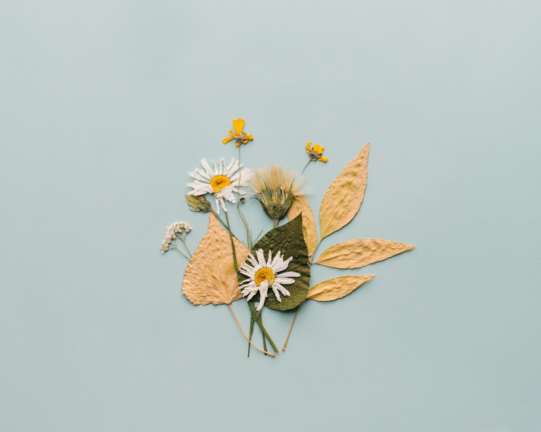 Groot droogbloemen boeket: waar je op moet letten bij de keuze