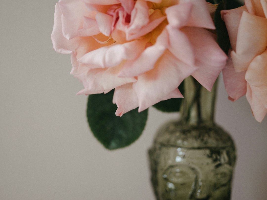 Rozen verzorgen in een vaas: zo houd je ze zo lang mogelijk mooi