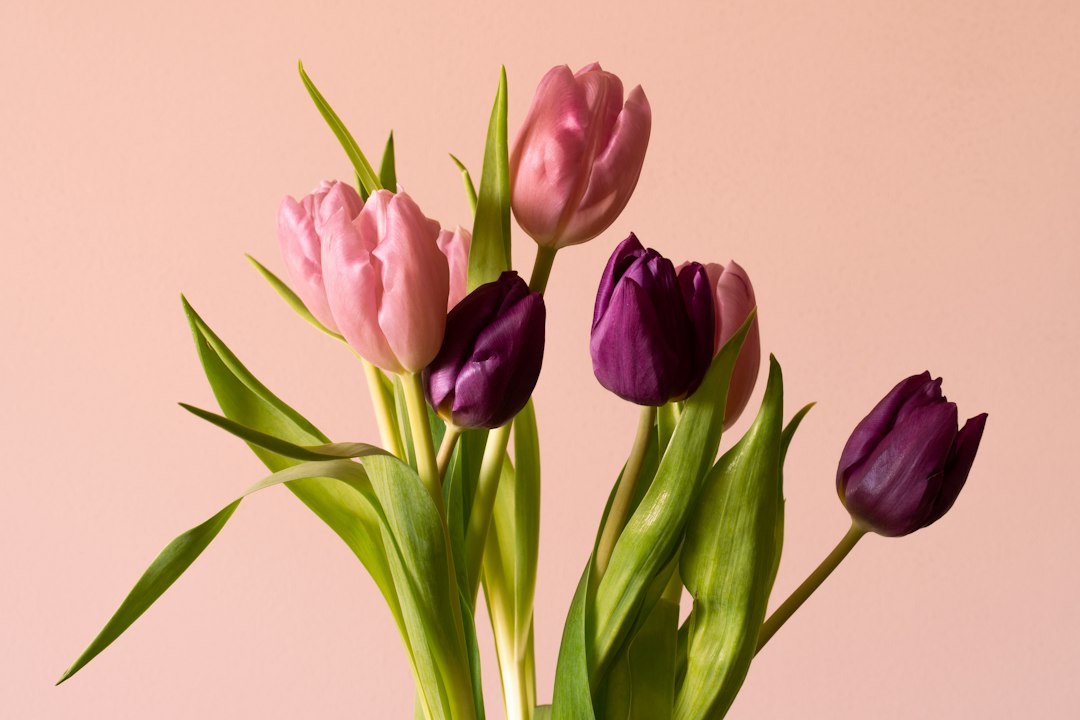 Tulpen in een vaas: zo houd je ze zo lang mogelijk mooi