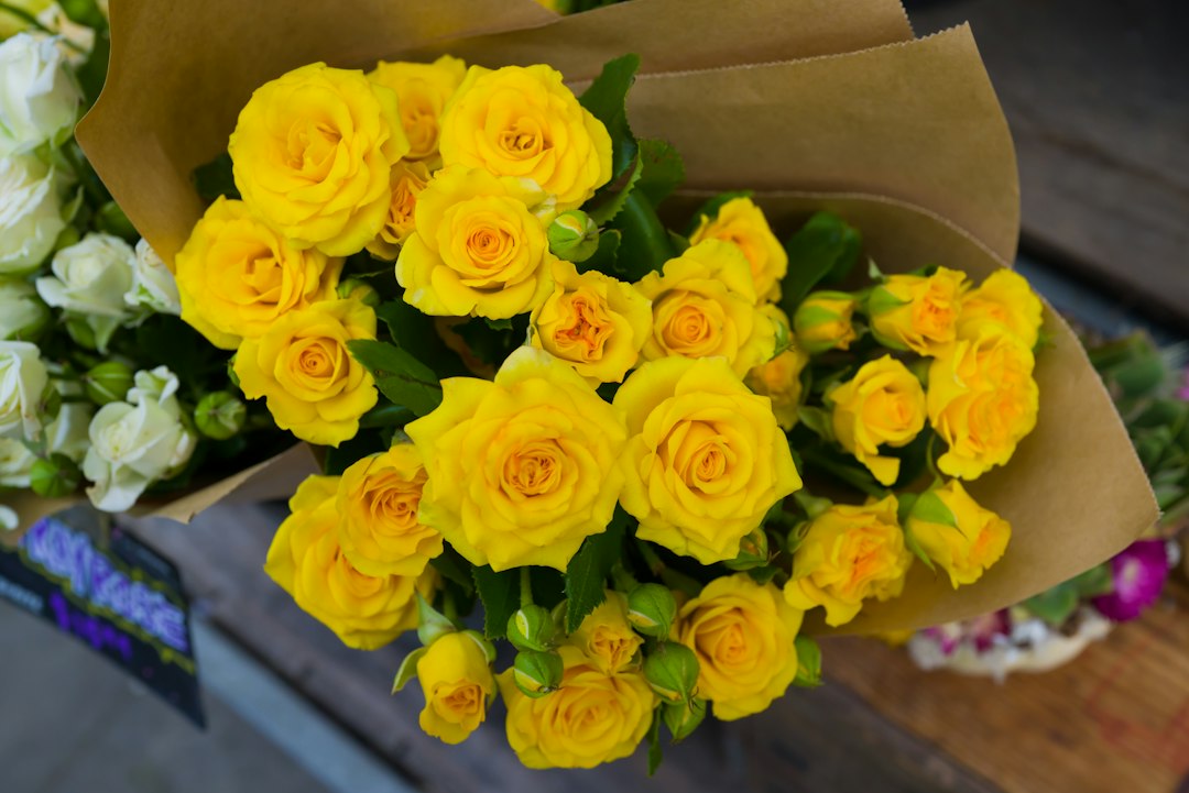 Boeket rozen: zo kies je het mooiste boeket voor elke gelegenheid