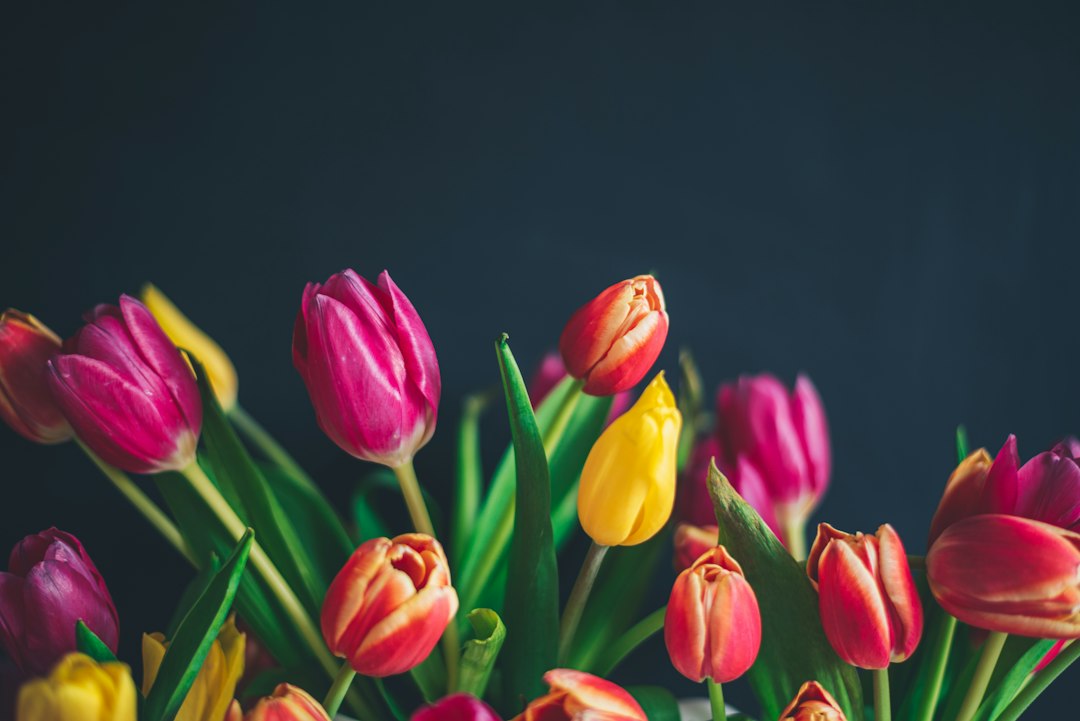 Tulpen in een vaas: 15 ideeën voor een mooi en fris arrangement