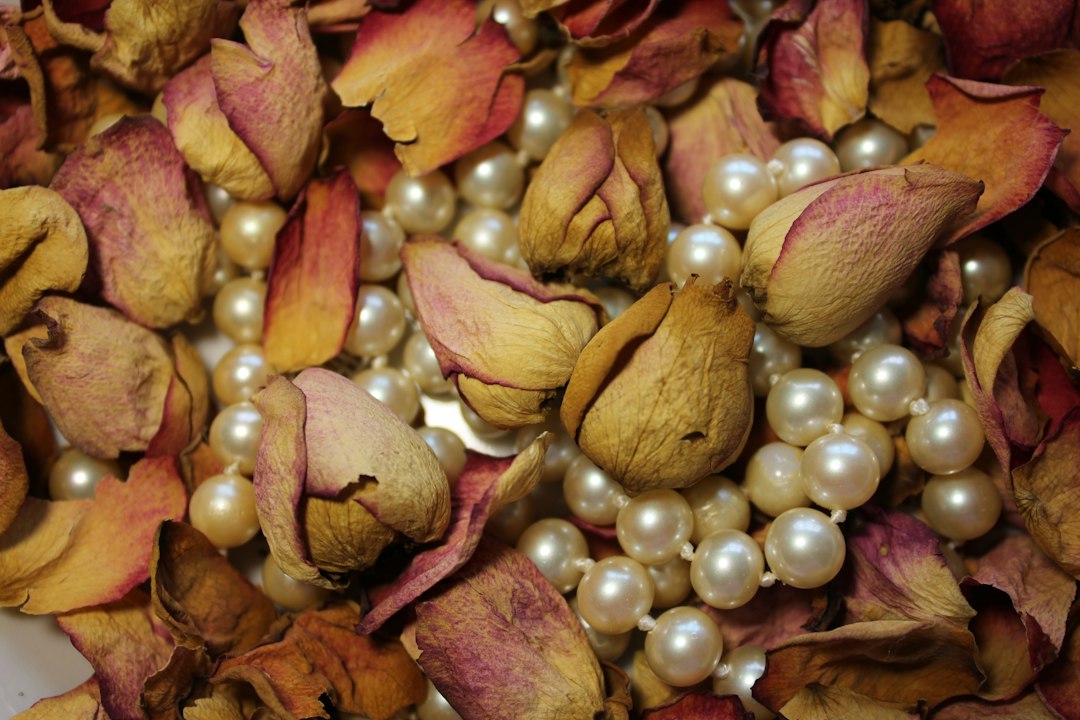 Luxe droogbloemen: waar je op moet letten bij een stijlvolle keuze