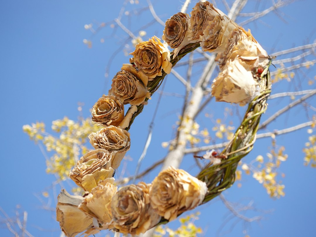 Droogbloemen ring: een decoratief wandobject met natuurlijke charme
