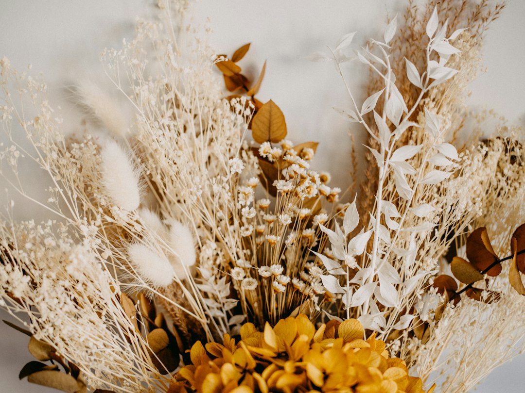 Droogbloemen decoratie: ideeën, stijlen en waar je op moet letten