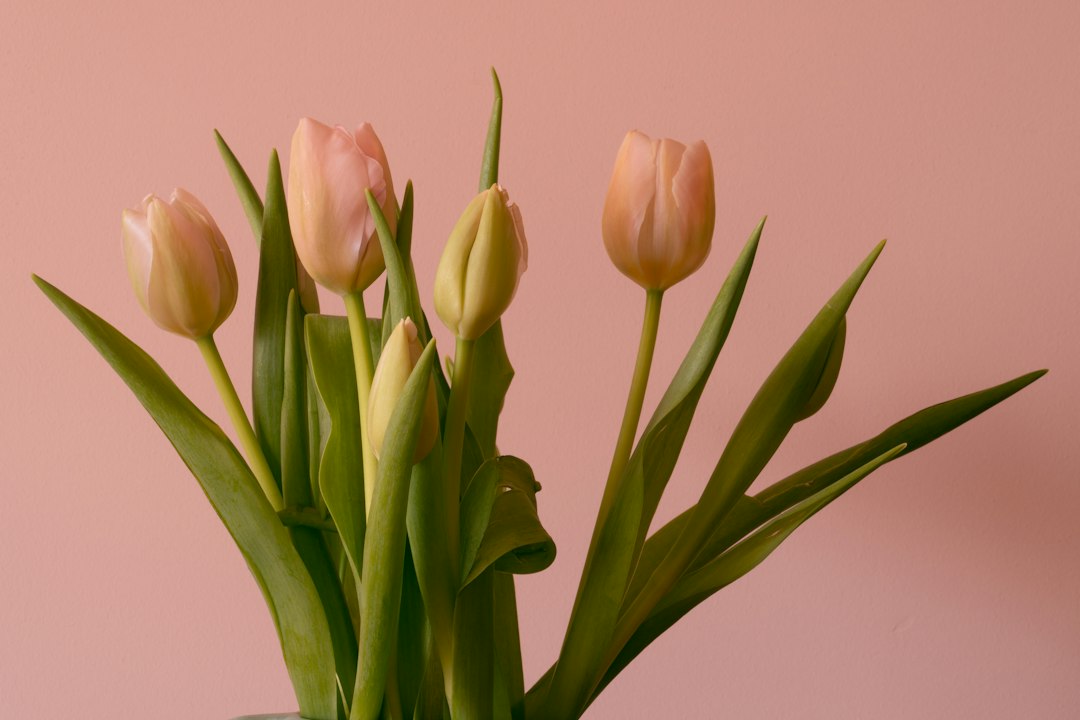 Vaas met tulpen erop: stijlen, materialen en hoe je ze het mooiste zet