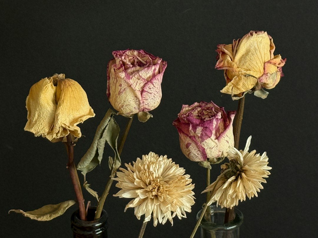 Droogbloemen maken: zo doe je het stap voor stap