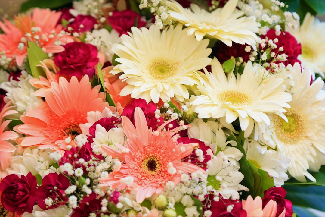 Gerbera boeket: vrolijke kleur voor elk moment