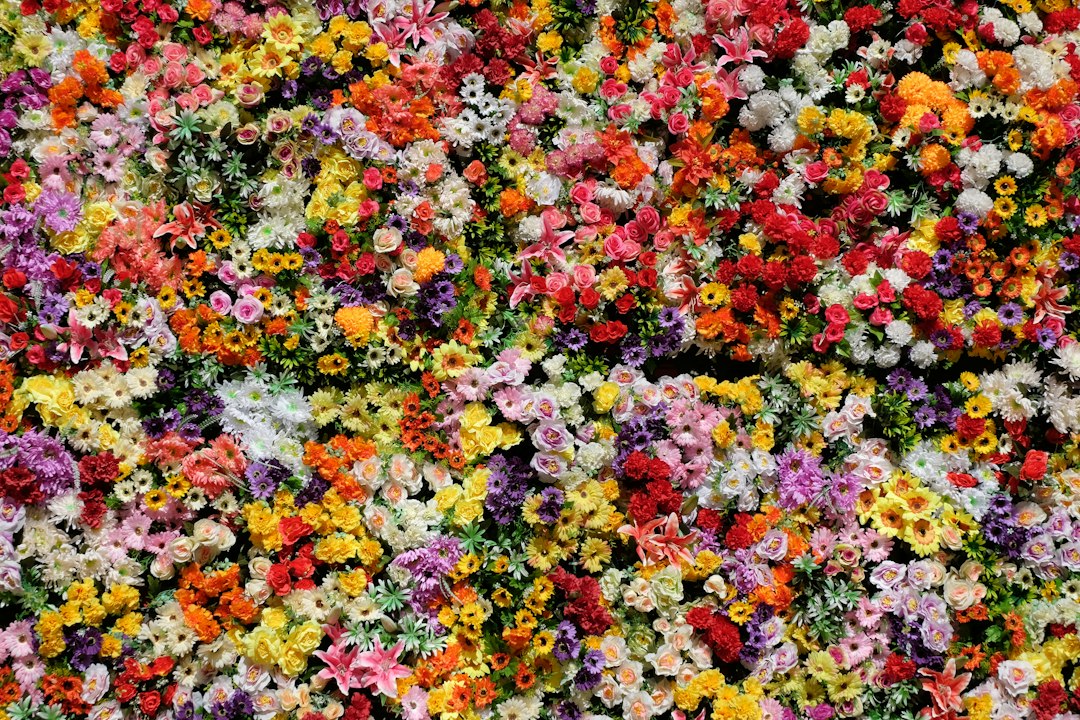 Populaire snijbloemen: de mooiste soorten en hoe lang ze meegaan
