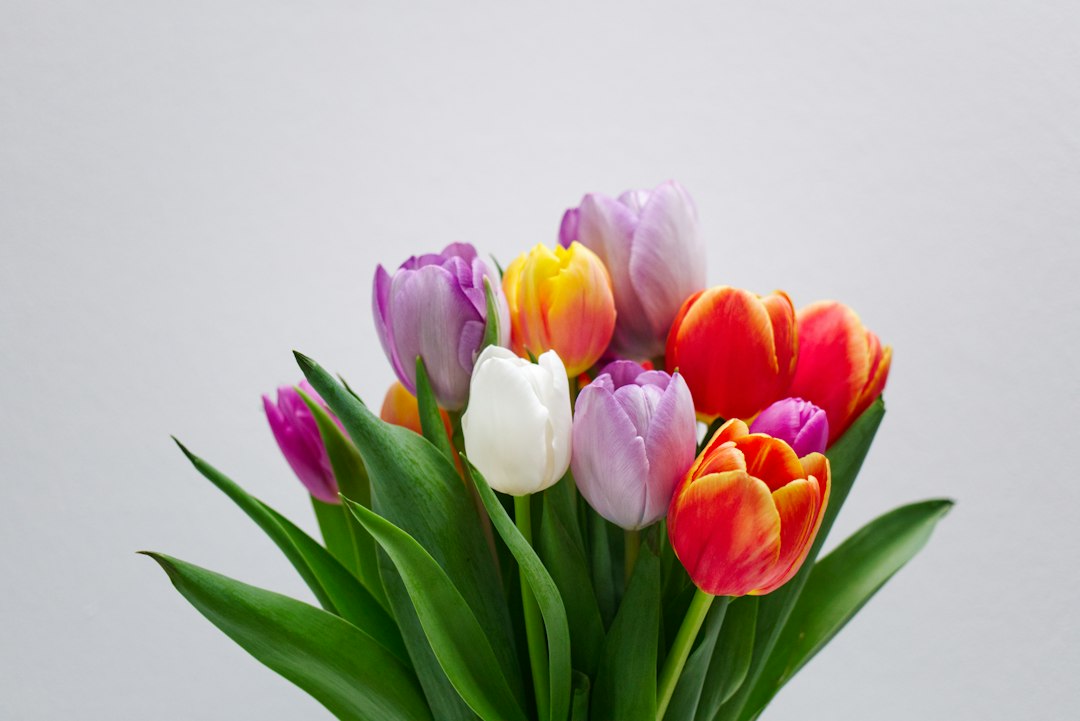 Rouwstuk met tulpen: een persoonlijk en sereen afscheid in het voorjaar