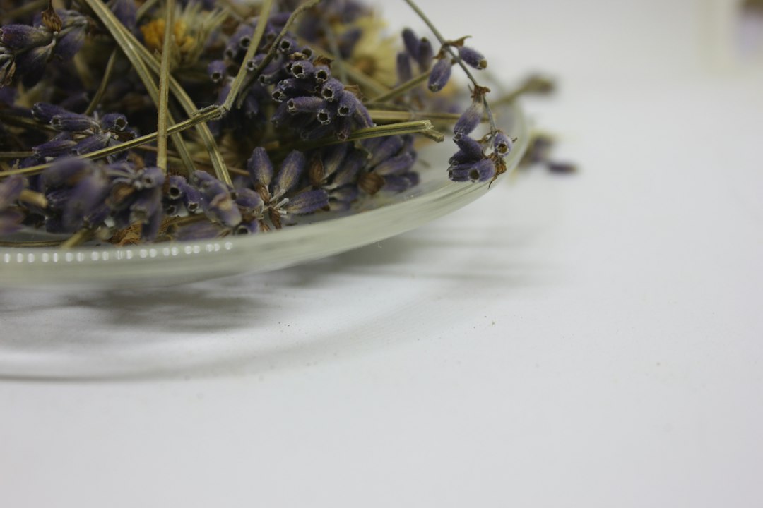 Droogbloemen in glas: stijlvol bewaren en presenteren