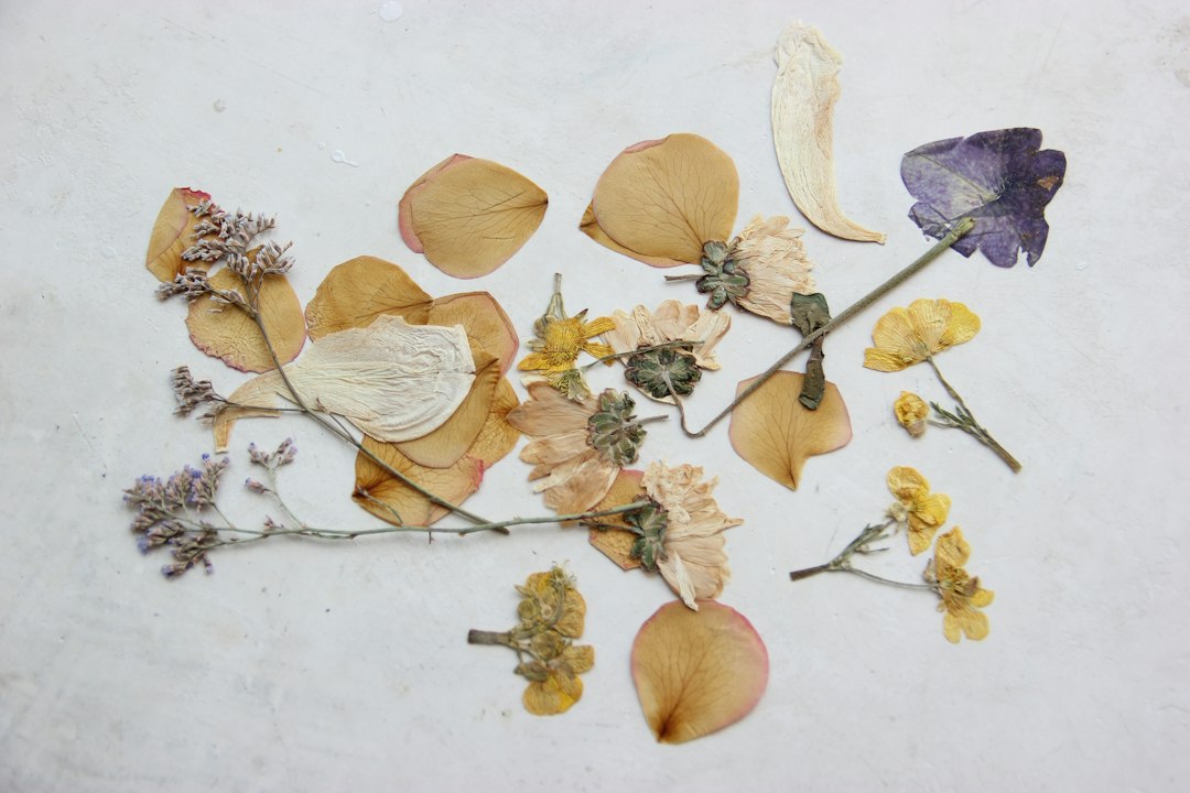 Droogbloemen in een lijst: zo maak en hang je het zelf