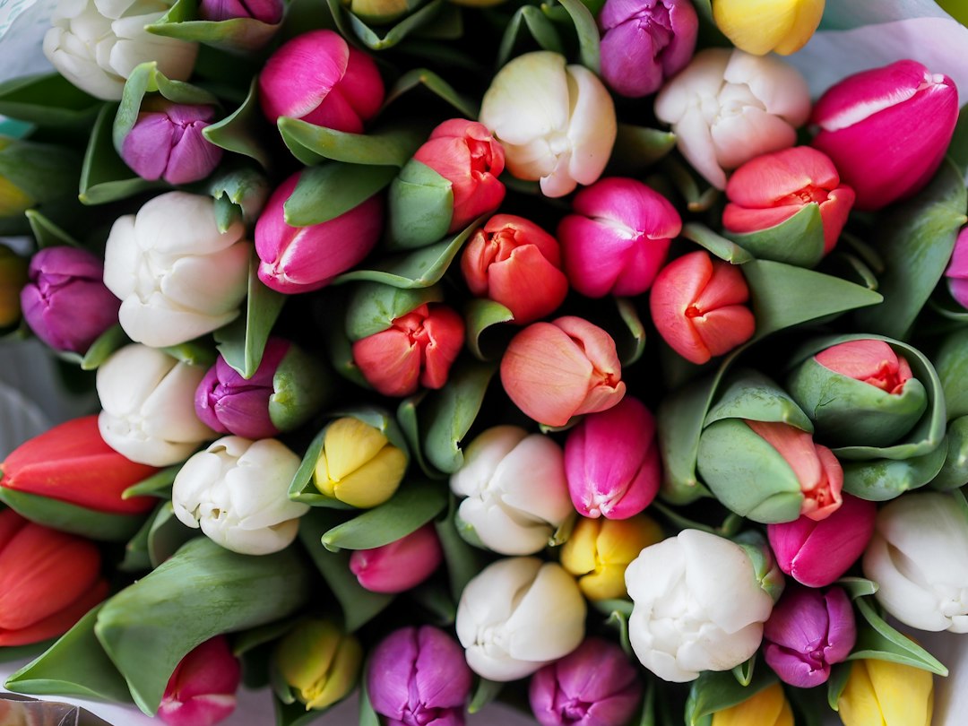 Nep tulpen: eerlijk oordeel over kunsttulpen die net echt lijken