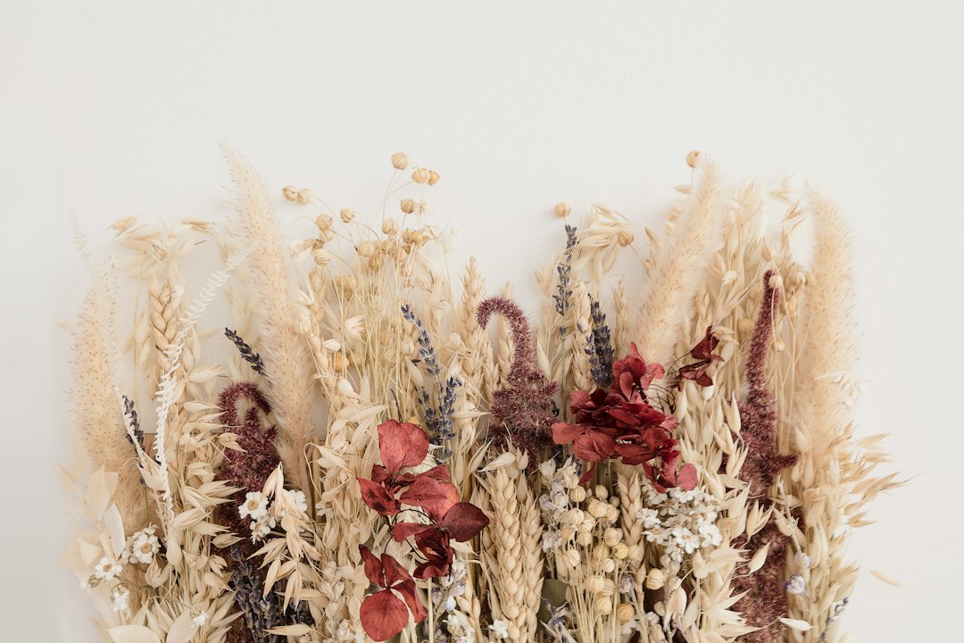 Kunst droogbloemen: wat zijn ze, wat kosten ze en wanneer kies je wat?