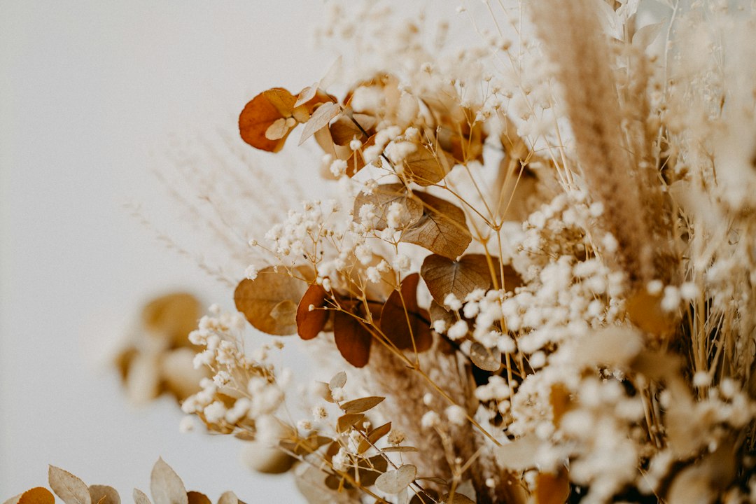Droogbloemen veldboeket: dit maakt het zo bijzonder
