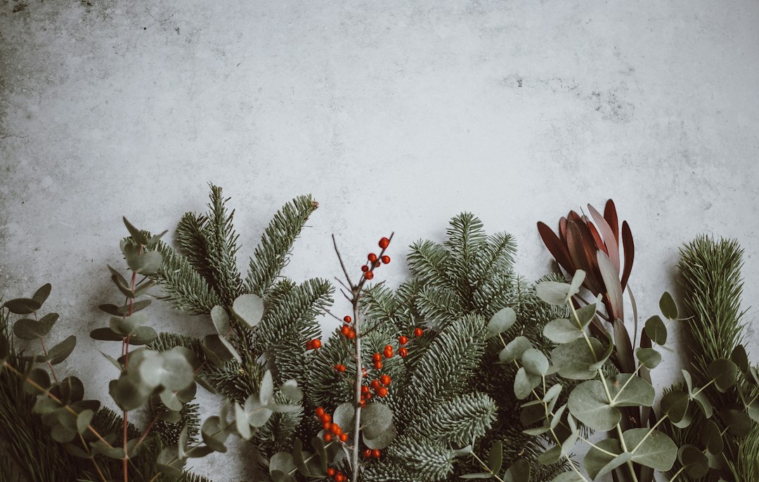Droogbloemen kerst: zo gebruik je ze voor sfeervolle decoratie