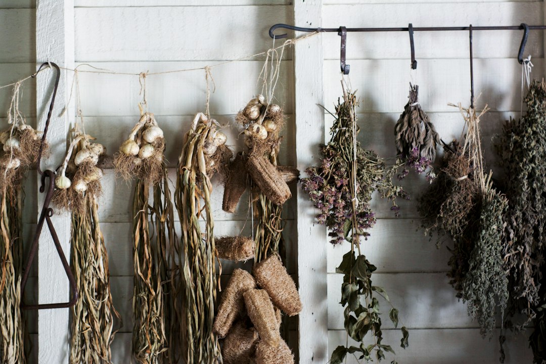 Droogbloemen bewaren: zo houd je ze zo lang mogelijk mooi
